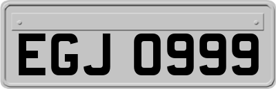 EGJ0999