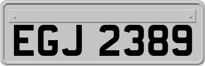 EGJ2389