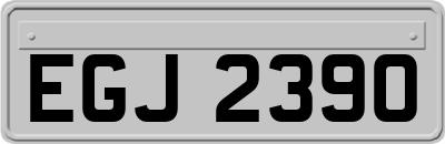 EGJ2390