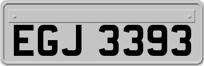 EGJ3393