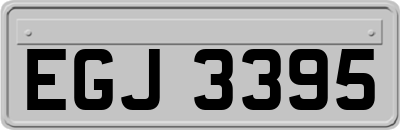 EGJ3395