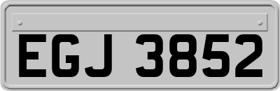 EGJ3852