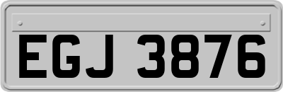 EGJ3876