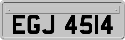 EGJ4514