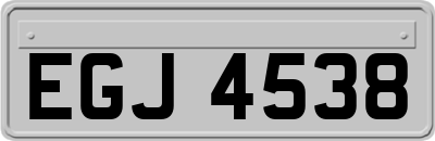 EGJ4538