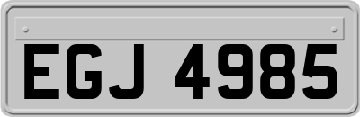 EGJ4985