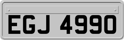 EGJ4990