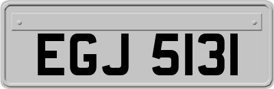 EGJ5131