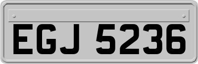 EGJ5236