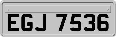 EGJ7536