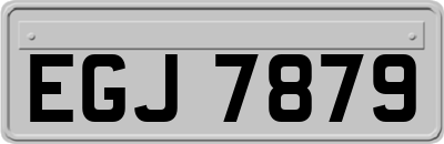 EGJ7879