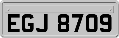 EGJ8709