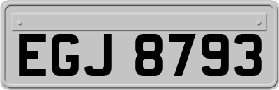 EGJ8793