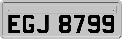 EGJ8799