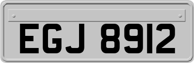 EGJ8912