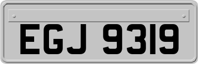 EGJ9319