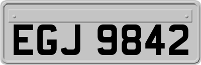 EGJ9842