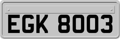 EGK8003