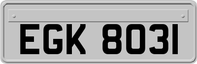 EGK8031