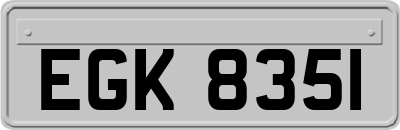 EGK8351
