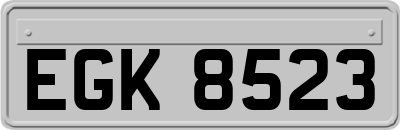 EGK8523