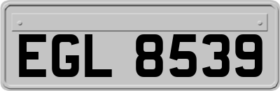EGL8539
