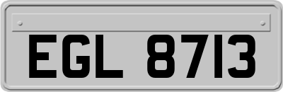 EGL8713