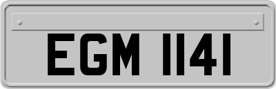EGM1141