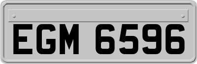 EGM6596