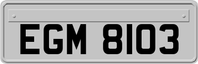 EGM8103