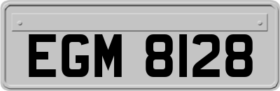 EGM8128