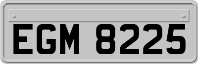 EGM8225