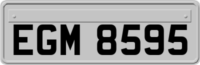 EGM8595