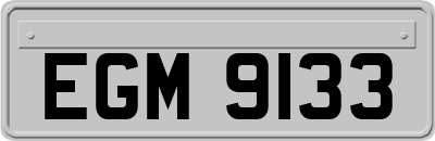 EGM9133