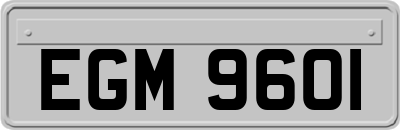 EGM9601