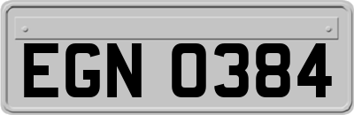 EGN0384