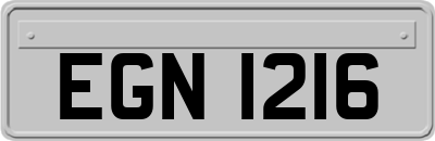 EGN1216