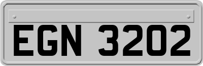 EGN3202