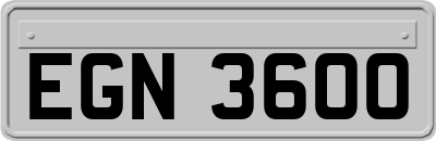 EGN3600