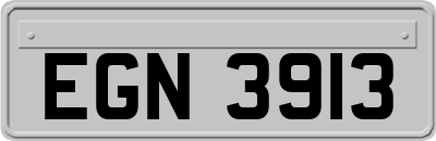 EGN3913