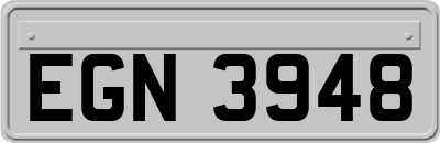 EGN3948