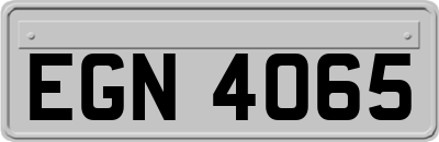 EGN4065