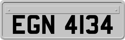 EGN4134