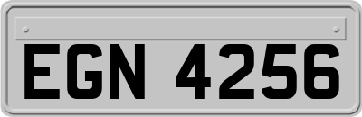 EGN4256