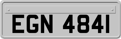 EGN4841