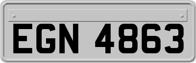 EGN4863