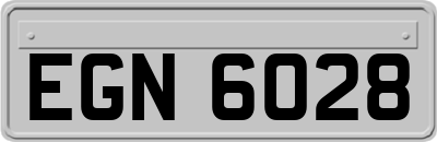 EGN6028