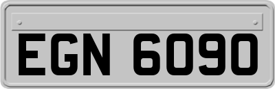 EGN6090