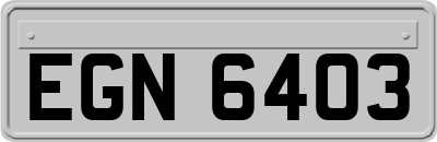 EGN6403