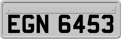 EGN6453